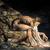 Higher Mind: Omniscience  |  Virtue: Non-Attachment